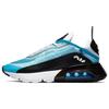 Nike Air Max 2090 'Blue' Men's CT1091-400