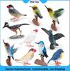 Children's Cross-border Bird Models: Roadrunner, Finch, Hummingbird, Robin, and Wild Flying Bird Figurines.