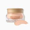 Skinfood Salmon Dark Circle Concealer 10g Κάλυψη Ατελειών Δέρματος 02 Σομόν Μπεζ, 1 τεμάχιο