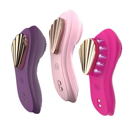 Fernbedienbarer Vibrator Magnetisch Tragbare Vibrationshöschen Mehrere Vibrationsmodi Silikon Klitoris Vagina Stimulator mit Weichen Borsten für Frauen