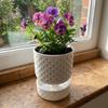 Décoration de la maison – Fleurs et couronnes décoratives