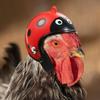 Mini Pet Chicken Helmet Cartoon Small Pet Hard Hat Pet Protective Headgear  For Bird Quail Pigeon