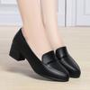 Autumn Thick Heel Middle Old Middle Heel Women's Leather Shoes Single Shoes Soft Leather Comfortable High Heel Single Shoes