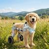 Breathable Harness Pet Rehabilitation Cart Disabled Pet Walking Aid  Rehabilitation Training