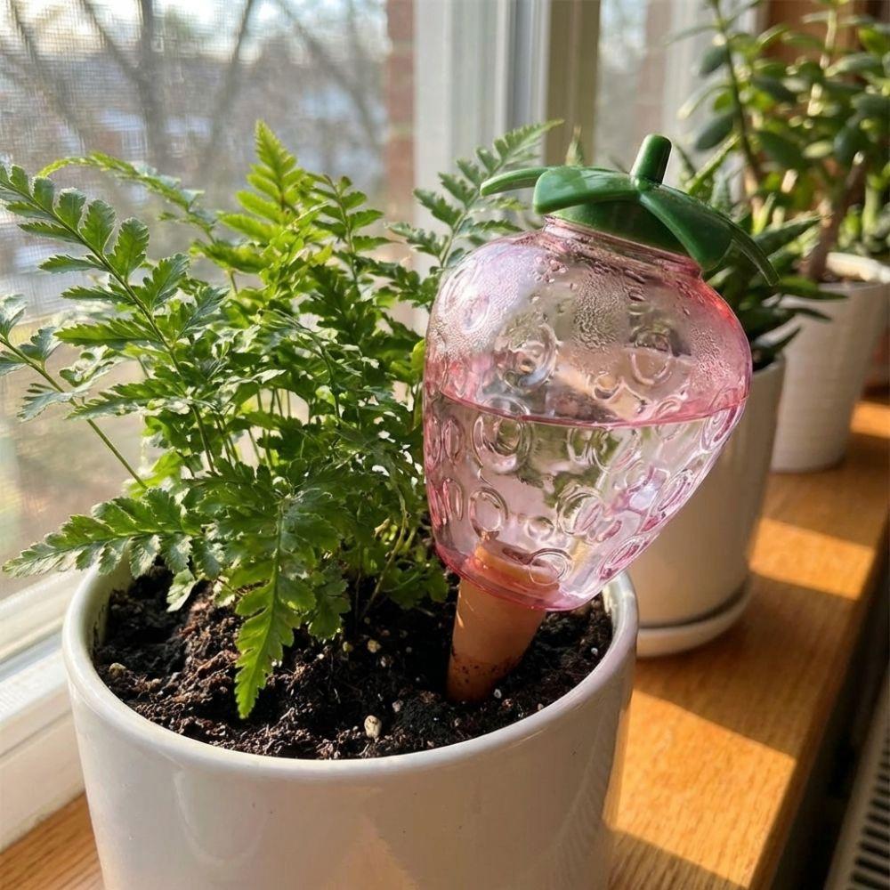 Water Conservation Succulent Plant Sprinkler Transparent Automatic Watering Device Indoor Plants