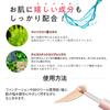 The Same Japan Official Concealer Cover Perfection Fixirer 1.5 Natural Beige 6.5g Gram (x 1) 1097