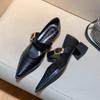 Elegant Designer Vintage Silvery Pointed Toe Women Mary Jane Shoes Fashion Shallow Casual Low Heel Dress Shoes Zapatos Mujer