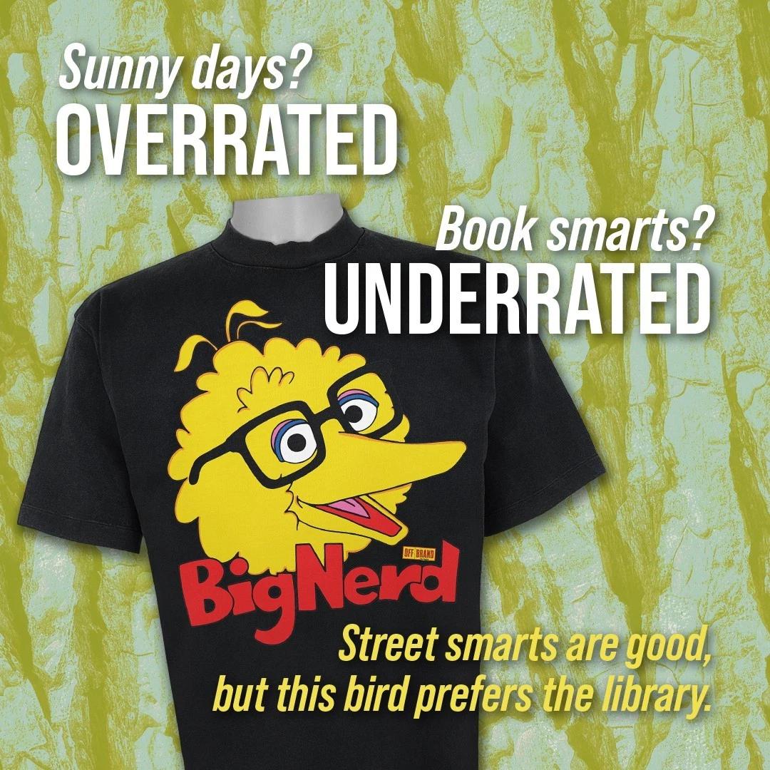 

Big Nerd Tee 2XL