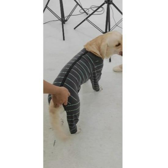 Full Coverage Elastic Dog Pajamas - Anti-Lick and Anti-Mosquito Suit for Large Dogs