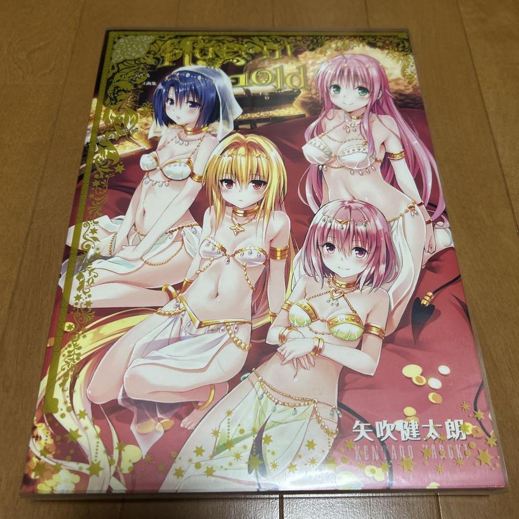 [USED] ToLOVEru Darkness Art Book HaremGold
