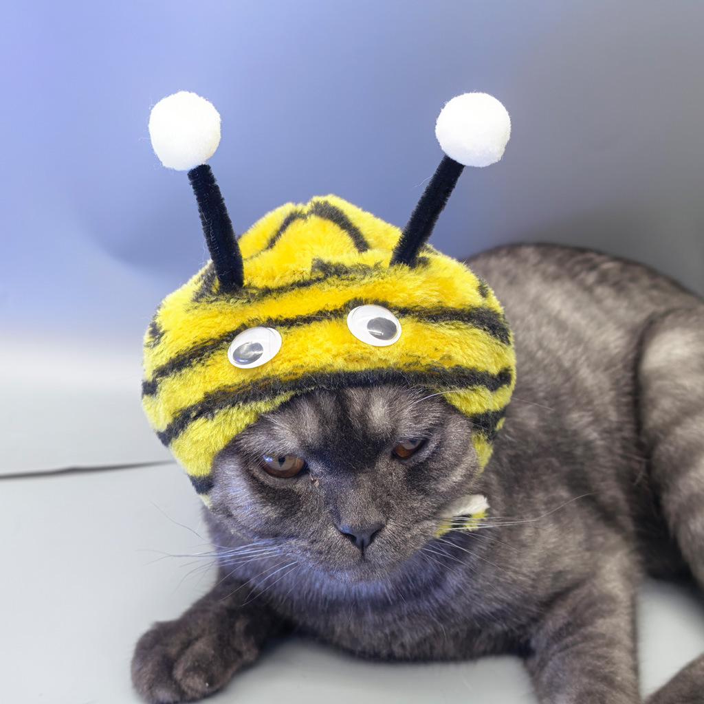 Universal Cute Pet Hat for Photos - Cat & Dog Dress-Up