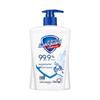 Safeguard Classic Antibacterial Hand Wash Set