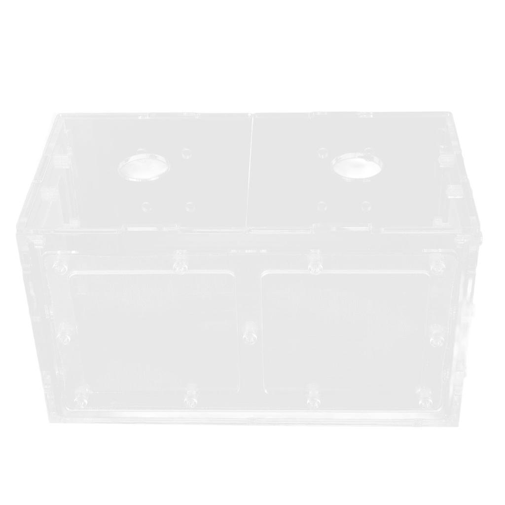 Fischzucht Isolierbox Transparente Netzseite Fischtank Inkubator für Aquarium Kleine Fische