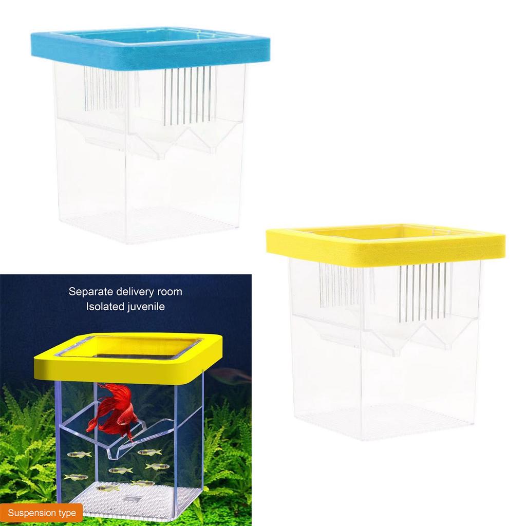 Incubator Fish Tank Box Yellow Designed For Egg Hatching Provides Safe Comfortable Environment
