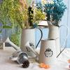 Vintage Blikkbøtte Smijern Blomster Bøtter Tørket Blomstervase Jernbøtter Blomsterpotte Blomsterbøtter Blomsterarrangementspotte