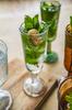 Champagne Glass, Wood Slice Pattern, Arbre, Transparent