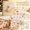 2D Acrylic Dog Christmas Advent Calendar Holiday Countdown
