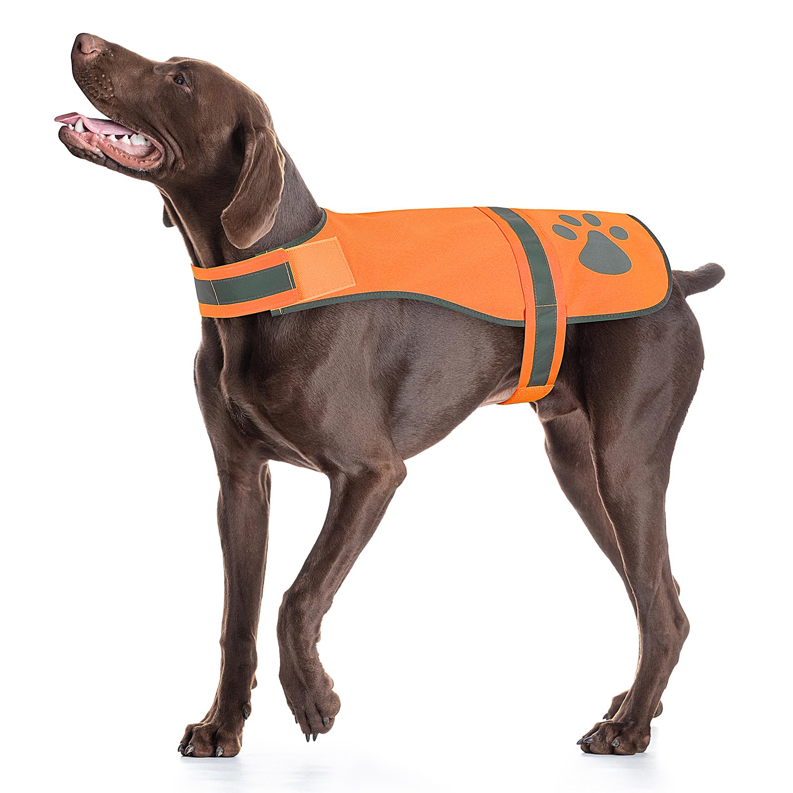 

Candofly Reflective Dog Vest for Safety High Visibility Fluorescent Pet Lightweight Dog Reflective Dog Harness for Night and Camping - Vest, Jacket,
