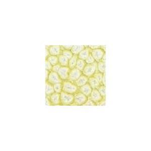 Barva - Pébéo - Fantasy Prisme - Šelma bílá - 45 ml - Lesklá