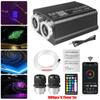 RGBW LED Fiber Optic Light Double Head Fiber Optic Star Ceiling Light Kit Bluetooth Car Roof Star Light Starry Sky Light
