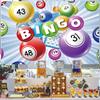 Bingo Backdrop,Bingo Party Banner Lottery Winning Ball Game Time Cards Photography Background Party Supplies