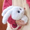 Boss Bunny: Long-Eared Plush Rabbit Doll Gift for Girls' Birthdays