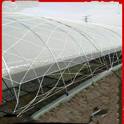 WEZHO Ağır Hizmet Sera ve Rüzgar Kırıcı Ağı