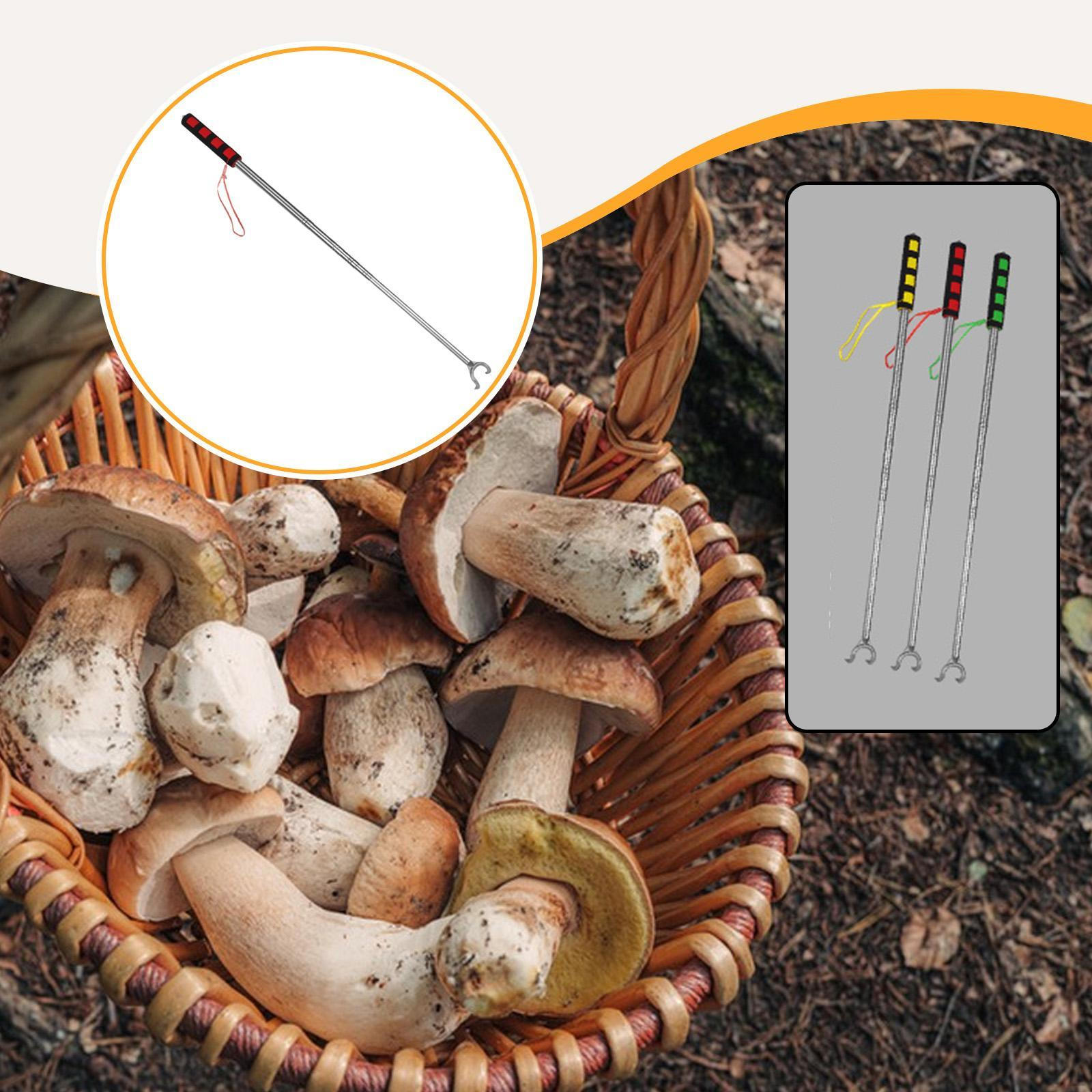 

Инструмент для сбора урожая, из нержавеющей стали, компактный захват, телескопический, помощь для захвата и дотягивания