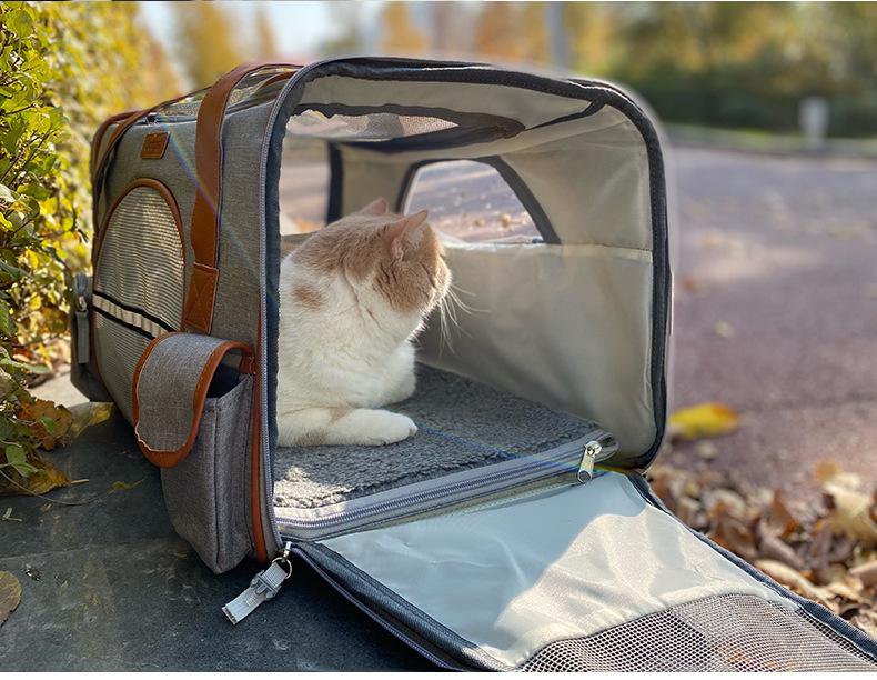 Haustier Reise Umhängetasche - Tragbare, Faltbare Transportbox für Hunde & Katzen
