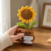 Milk Yarn Crocheted Plant Ornament Indoor with Face and Arms Compact Handmade