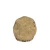 Retro anti-leopard print forward hat female autumn and winter spice girl style wear fashionable literary contrasting color cap male