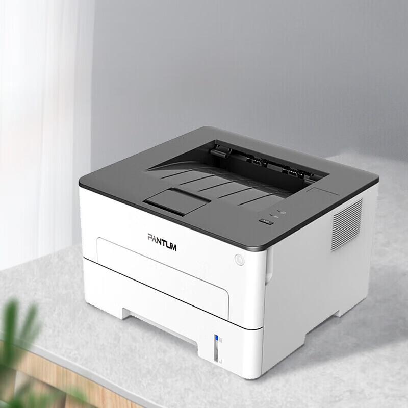 Pantum P3010DW A4 Black & White Duplex Laser Printer CN Plug (adapter Included)
