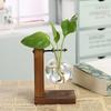 Planta hidropônica Terrário Vasevase Decoração Casa Garrafa de vidro Hidropônica Decoração de mesa Escritório Planta verde Pequeno vaso