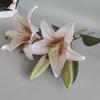 Chambre Mariage Style Nordique Bouquets Floraux Multicolores Plante Artificielle Lys Artificiels Fleur Artificielle
