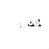 Transparent Straw Organizer And Panda Shape Wall Clock Practical Reusable Holder for Counter Makeup