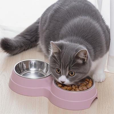 Hunde – Näpfe & Tränken für Hunde