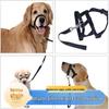 New Anti-Bark Dog Muzzle & Leash Set for Training and Walking