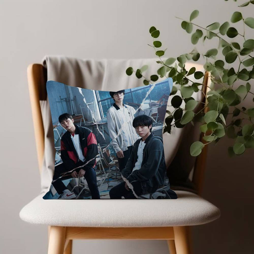 Weak Hero Class Personalized picture text home decorative pillows Household Gifts xcm