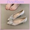 Spring Fashion Womens Elegant Satin Pointed Toe Low Heel Flats With Pu Sole For Daily Wear