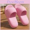 Princess Series Eva Slippers For Women Men Non Slip Home Casual Summer Footwear