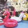 Inflatable Pool Drink Holder Floating Cup Stand