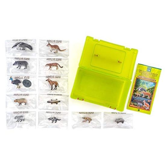 Calorata Tiergeographie Zone 4 Figur 3D Enzyklopädie und Australisch 12 Enthält Realistische Figur Box Pädagogisch Lebensmittelhygienegesetz Geschenk