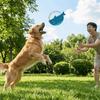 Lustige bissfeste Hundefliegscheibe Langlebige Zähneknirsch-Interaktives Hundespielzeug Weiches Cartoon-Welpen-Kauspielzeug Langeweile lindern