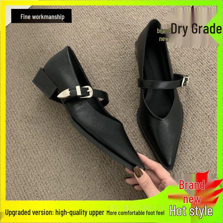 2025 New Autumn Women's Pointed Toe Mary Jane Shoes - Soft Leather, Versatile & Stylish