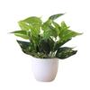 Desktop Artificial Bonsai Plant with Pot Plastic Foliage for Long-Lasting Home Restaurant Hotel and Shop Decor