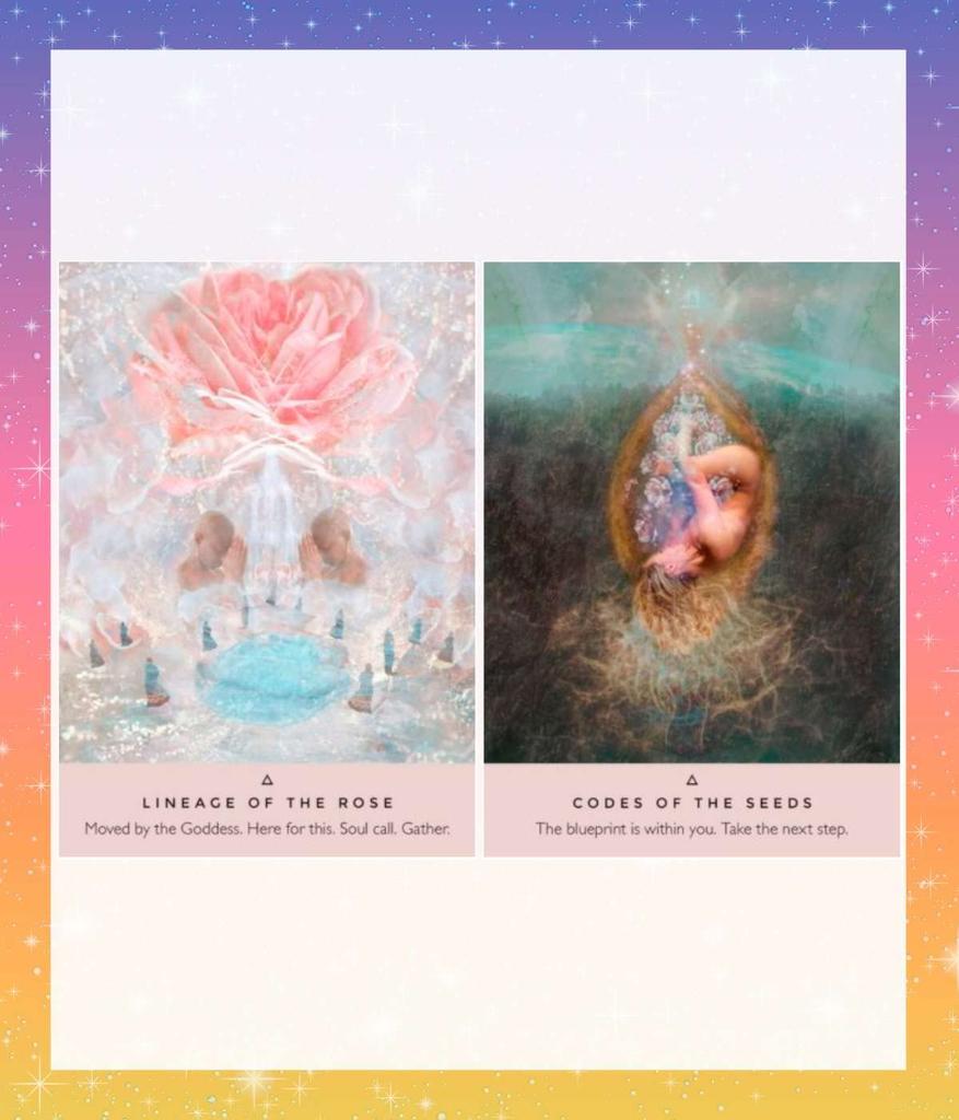 THE ROSE ORACLE Oracle Card Tarot Card Fortune Telling Japanese Version Manual Included [Japanese Version] [Genuine Product]