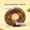 Green Emperor Premium Dried Fujian Shiitake Mushrooms