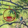Kolibri-Futterspender mit Haken Große Kapazität Auslaufsicher Einfaches Befüllen Wiederverwendbar Einfache Installation