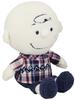 Nakajima Corporation Blueberry Check Charlie Brown Medium Plush Toy 172976-22