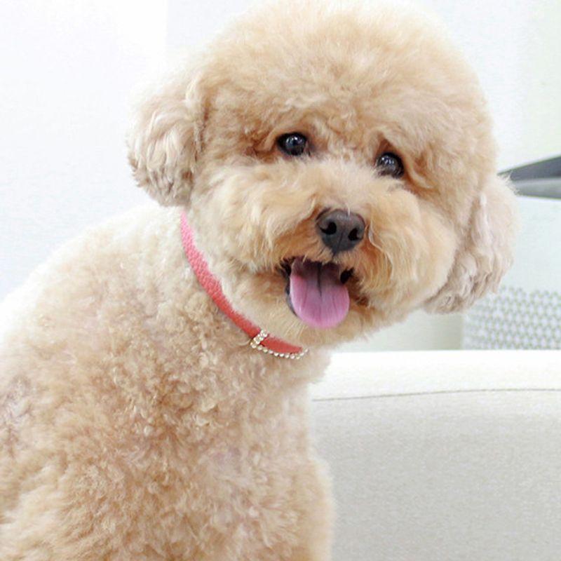 MAISON DE MIU Square Pearl Necklace in Coral